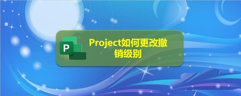 Project文件怎么更改撤銷級別?(圖1)