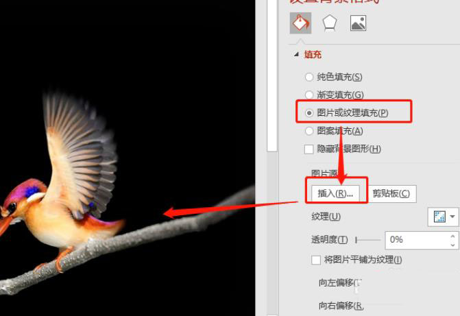 Office365中ppt頁(yè)面怎么添加焦點(diǎn)平滑過(guò)渡效果?(圖3)
