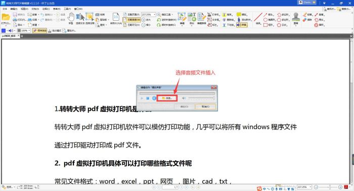 轉(zhuǎn)轉(zhuǎn)大師PDF編輯器如何在pdf文件中插入音頻?(圖3)