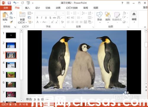 PowerPoint2013如何制作簡易的電子相冊
