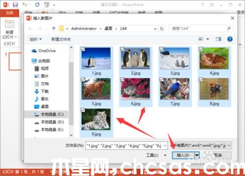 PowerPoint2013中怎么給相冊(cè)添加音樂(lè)