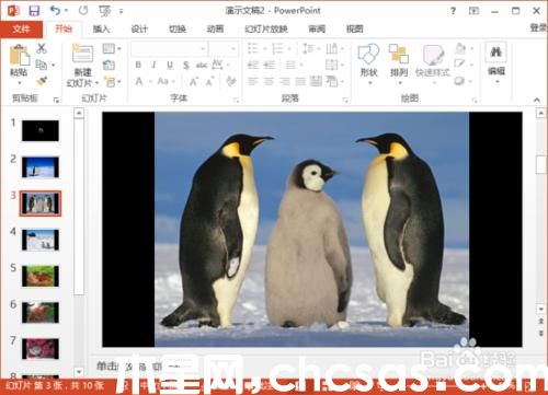 PowerPoint2013中怎么給相冊(cè)添加音樂(lè)