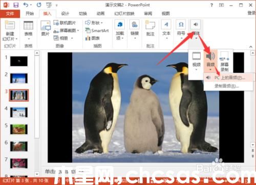 PowerPoint2013中怎么給相冊(cè)添加音樂(lè)