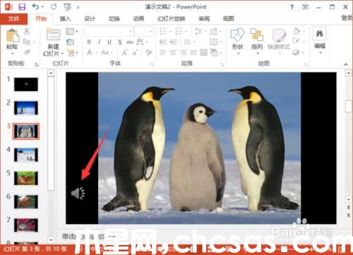 PowerPoint2013中怎么給相冊(cè)添加音樂(lè)