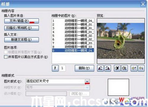 如何用PowerPoint制作電子相冊
