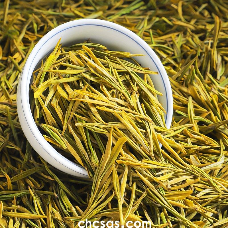 黃金芽茶葉是什么茶