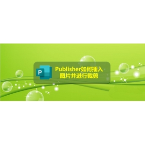 Publisher怎么裁剪圖片? Publisher圖片裁剪的教程