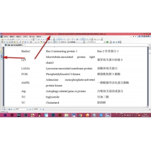 CAJViewer論文不顯示目錄怎么辦? CAJViewer論文顯示目錄的技巧